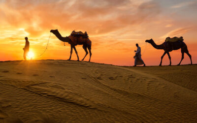 Explore Incredible India with The Tour Shop – Domestic Tours