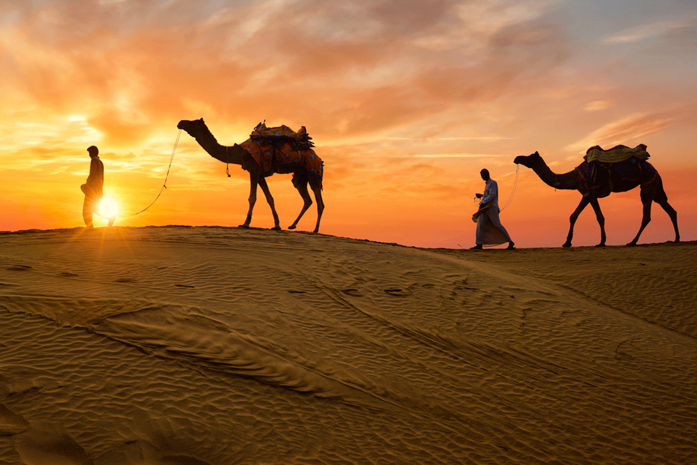 Explore Incredible India with The Tour Shop – Domestic Tours